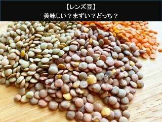 【レンズ豆】美味しい？まずい？どっち？