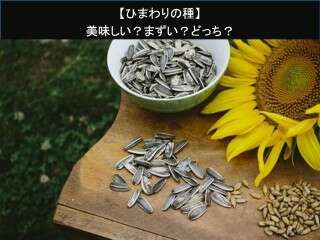 【ひまわりの種】美味しい？まずい？どっち？