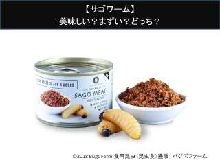 【サゴワーム】美味しい？まずい？昆虫の味をアンケートで好き嫌い割合調査！