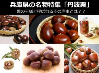 【丹波栗】美味しい？まずい？どっち？人気投票！兵庫県のお土産＆名物