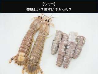 【シャコ】美味しい？まずい？どっち？