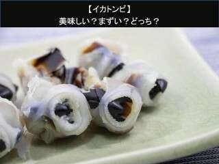 【イカトンビ】美味しい？まずい？どっち？