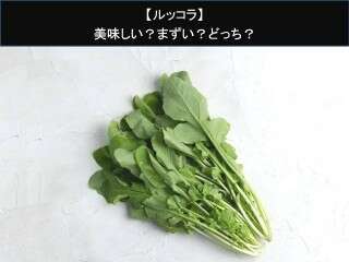 【ルッコラ】美味しい？まずい？どっち？