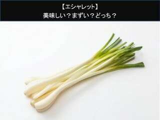 【エシャレット】美味しい？まずい？どっち？