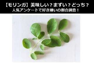 【モリンガ】美味しい？まずい？どっち？