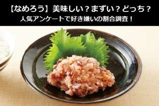 【なめろう】美味しい？まずい？どっち？