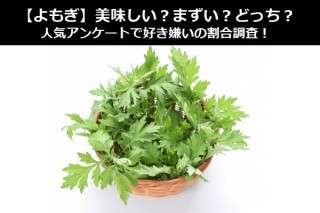 【よもぎ】美味しい？まずい？どっち？