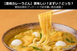【豊橋カレーうどん】美味しい？まずい？どっち？愛知名物をアンケートで好き嫌い割合調査！
