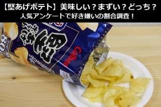 【堅あげポテト】美味しい？まずい？どっち？