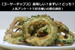 【ゴーヤーチップス】美味しい？まずい？どっち？