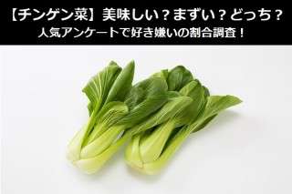 【チンゲン菜】美味しい？まずい？どっち？