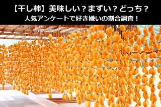 【干し柿】美味しい？まずい？どっち？