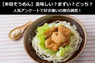 【半田そうめん】美味しい？まずい？どっち？