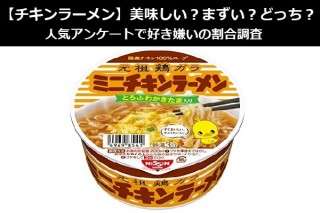 【チキンラーメン】美味しい？まずい？どっち？