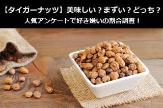 【タイガーナッツ】美味しい？まずい？どっち？
