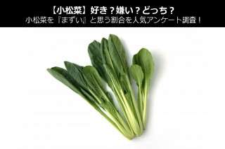 【小松菜】好き？嫌い？どっち？小松菜を『まずい』と思う割合を人気アンケート調査！