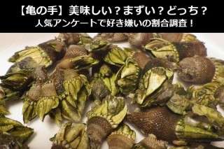 【亀の手】美味しい？まずい？どっち？