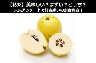【花梨】美味しい？まずい？どっち？