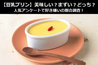【豆乳プリン】美味しい？まずい？どっち？