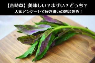 【金時草】美味しい？まずい？どっち？