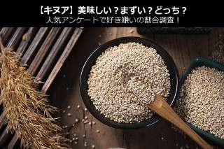 【キヌア】美味しい？まずい？どっち？人気アンケートで好き嫌いの割合調査！