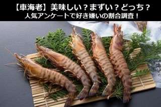 【車海老】美味しい？まずい？どっち？
