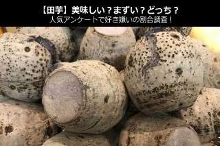 【田芋】美味しい？まずい？どっち？人気アンケートで好き嫌いの割合調査！
