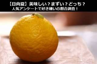 【日向夏】美味しい？まずい？どっち？人気アンケートで好き嫌いの割合調査！