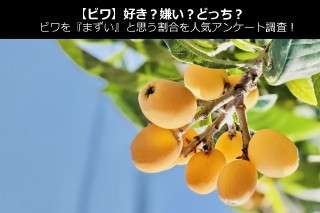 【ビワ】好き？嫌い？どっち？ビワを『まずい』と思う割合を人気アンケート調査！