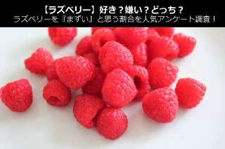 【ラズベリー】好き？嫌い？どっち？ラズベリーを『まずい』と思う割合を人気アンケート調査！