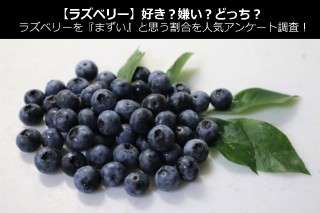 【ブルーベリー】好き？嫌い？どっち？ブルーベリーを『まずい』と思う割合を人気アンケート調査！