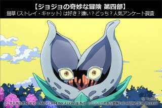 【ジョジョの奇妙な冒険 第四部】猫草（ストレイ・キャット）は好き？嫌い？どっち？人気アンケート調査！