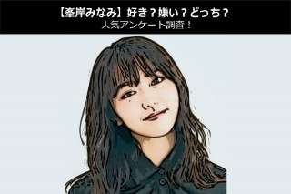【峯岸みなみ】好き？嫌い？どっち？人気アンケート調査！