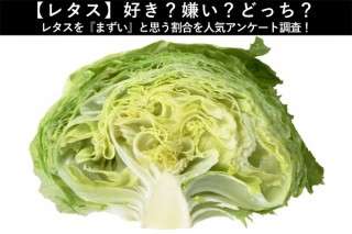 【レタス】好き？嫌い？どっち？レタスを『まずい』と思う割合を人気アンケート調査！