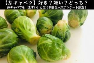 【芽キャベツ】好き？嫌い？どっち？芽キャベツを『まずい』と思う割合を人気アンケート調査！