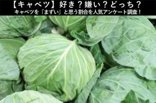 【キャベツ】好き？嫌い？どっち？キャベツを『まずい』と思う割合を人気アンケート調査！