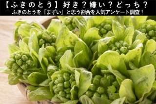 【ふきのとう】好き？嫌い？どっち？ふきのとうを『まずい』と思う割合を人気アンケート調査！