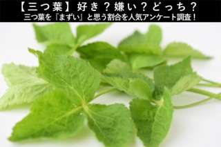 【三つ葉】好き？嫌い？どっち？三つ葉を『まずい』と思う割合を人気アンケート調査！