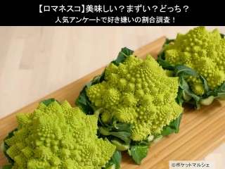 【ロマネスコ】美味しい？まずい？どっち？