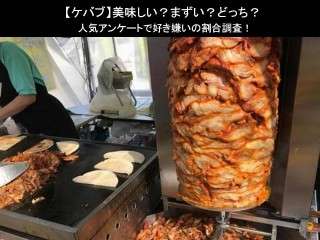 【ケバブ】美味しい？まずい？どっち？