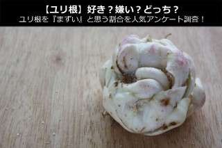 【ユリ根】好き？嫌い？どっち？ユリ根を『まずい』と思う割合を人気アンケート調査！