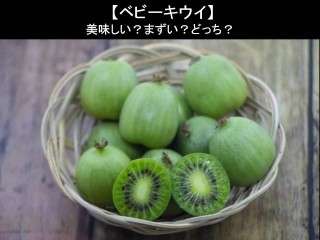 【ベビーキウイ】美味しい？まずい？どっち？