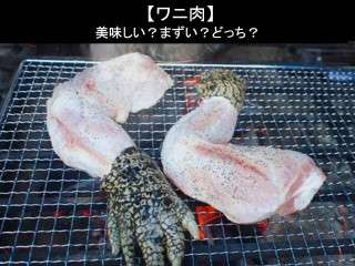 【ワニ肉】美味しい？まずい？どっち？