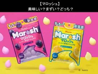 【マロッシュ】美味しい？まずい？どっち？