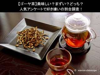 【ゴーヤ茶】美味しい？まずい？どっち？
