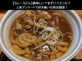 【カレーうどん】美味しい？まずい？どっち？