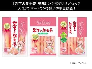 【岩下の新生姜】美味しい？まずい？どっち？
