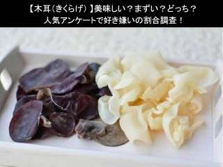 【木耳（きくらげ）】美味しい？まずい？どっち？