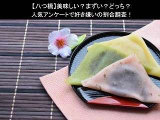 【八つ橋】美味しい？まずい？どっち？