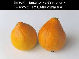 【コリンキー】美味しい？まずい？どっち？